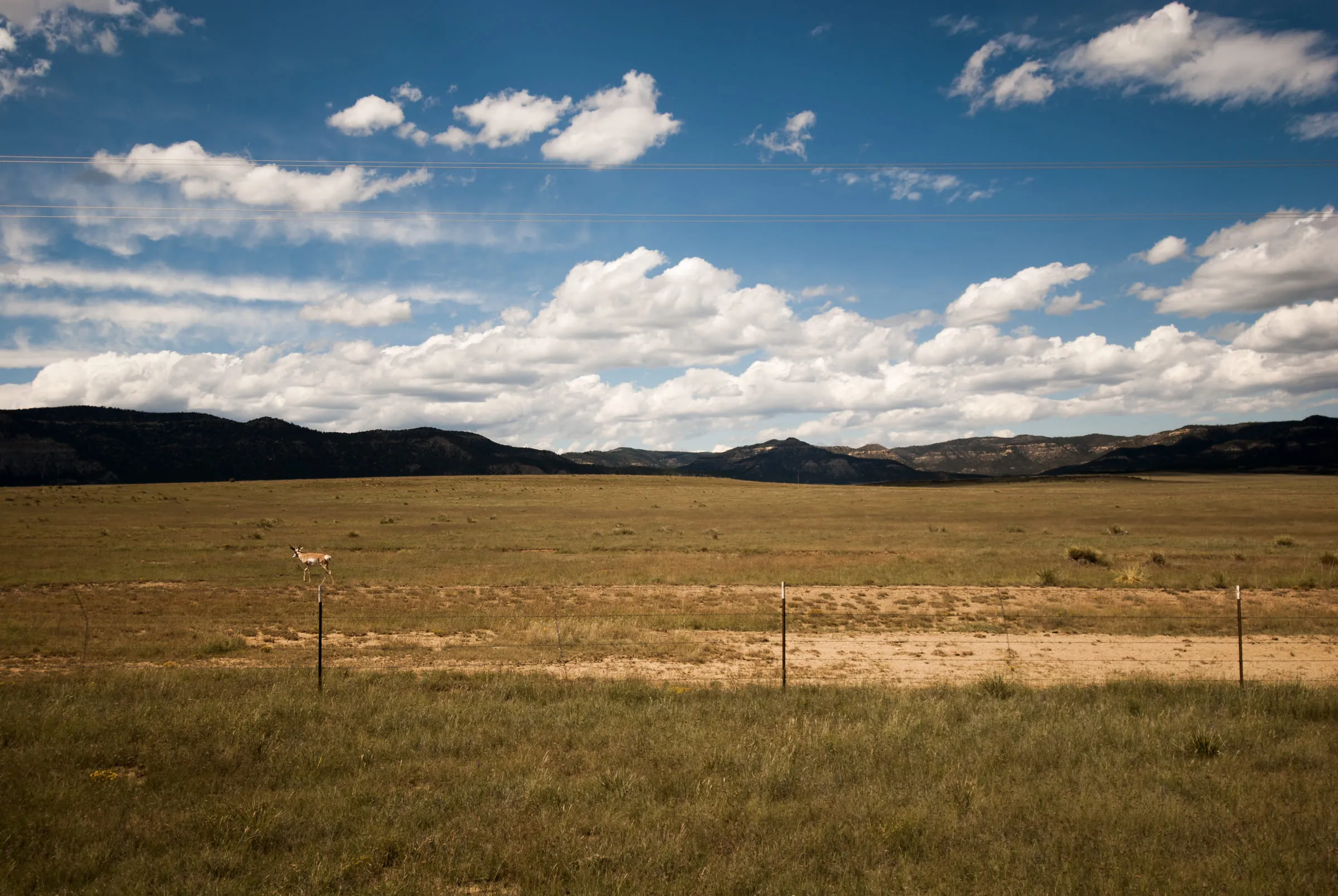Fenced grassland stretching to a dark mesa ridge under a sky of small scattered clouds