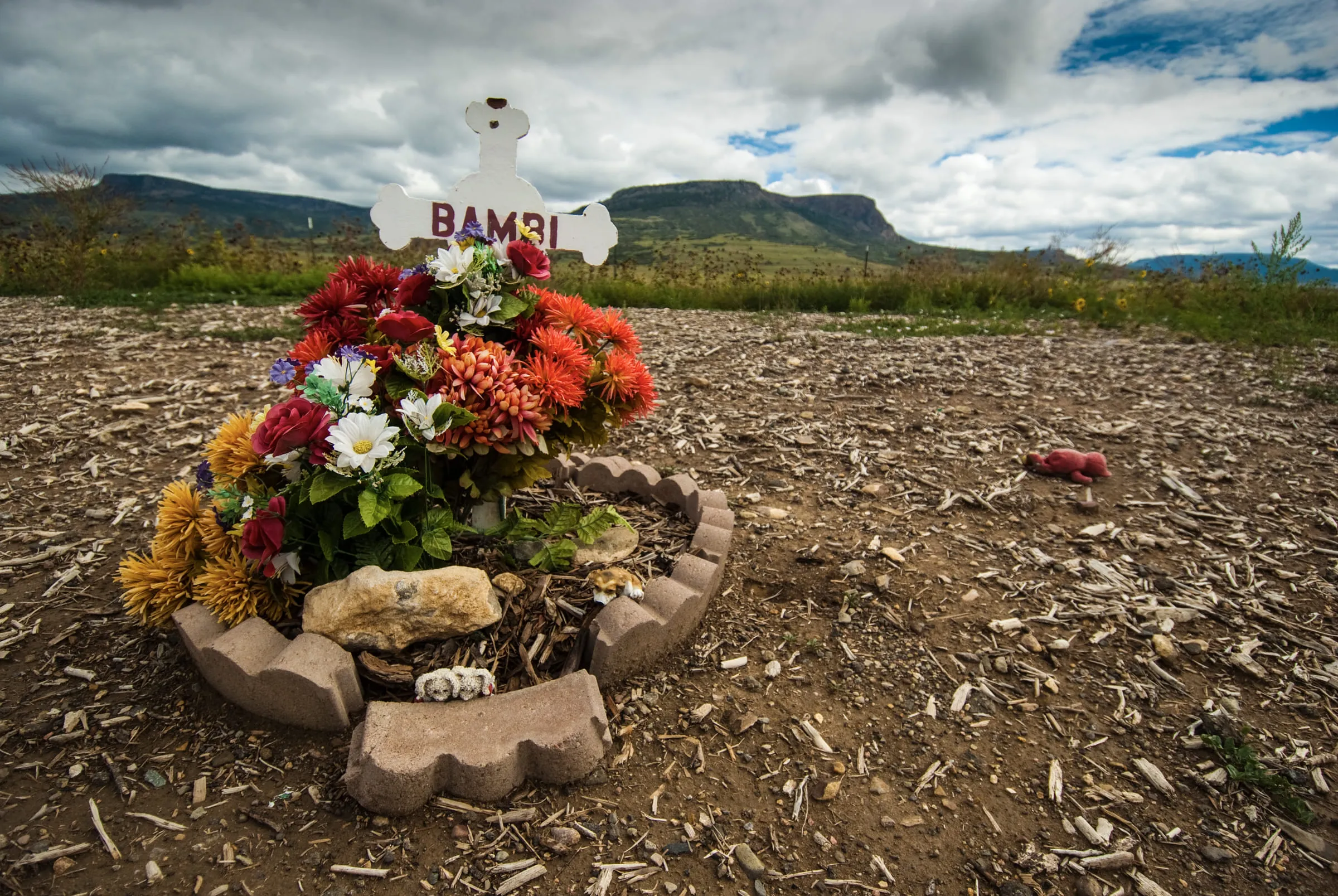 A grave decorated with a wreath of bright flowers and a white teddy bear, mesas on the horizon behind