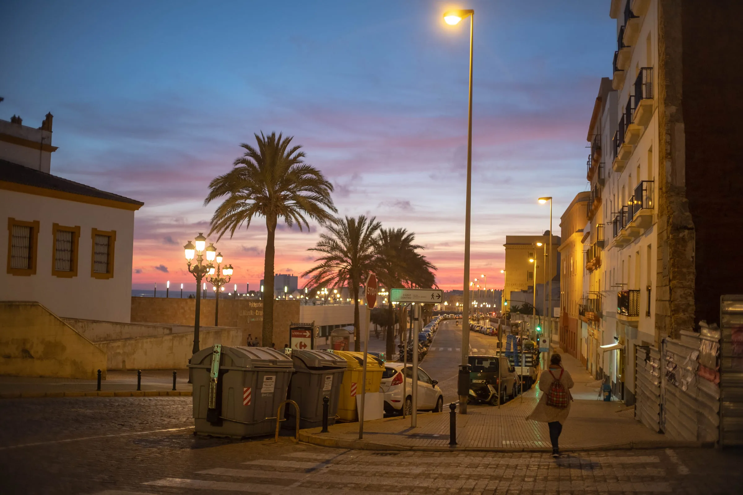 A palm-lined street at dusk with streetlights on and a single figure walking