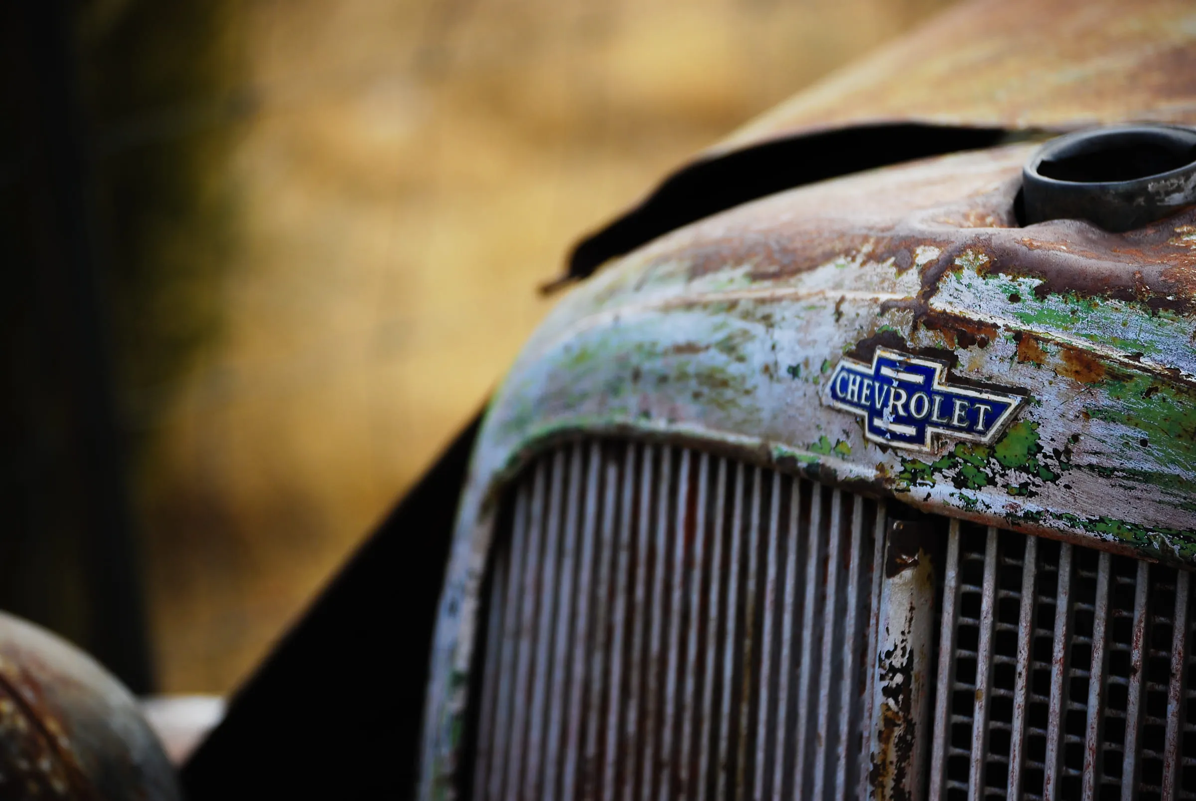Close-up of a rusted Chevrolet grille and badge on an abandoned truck