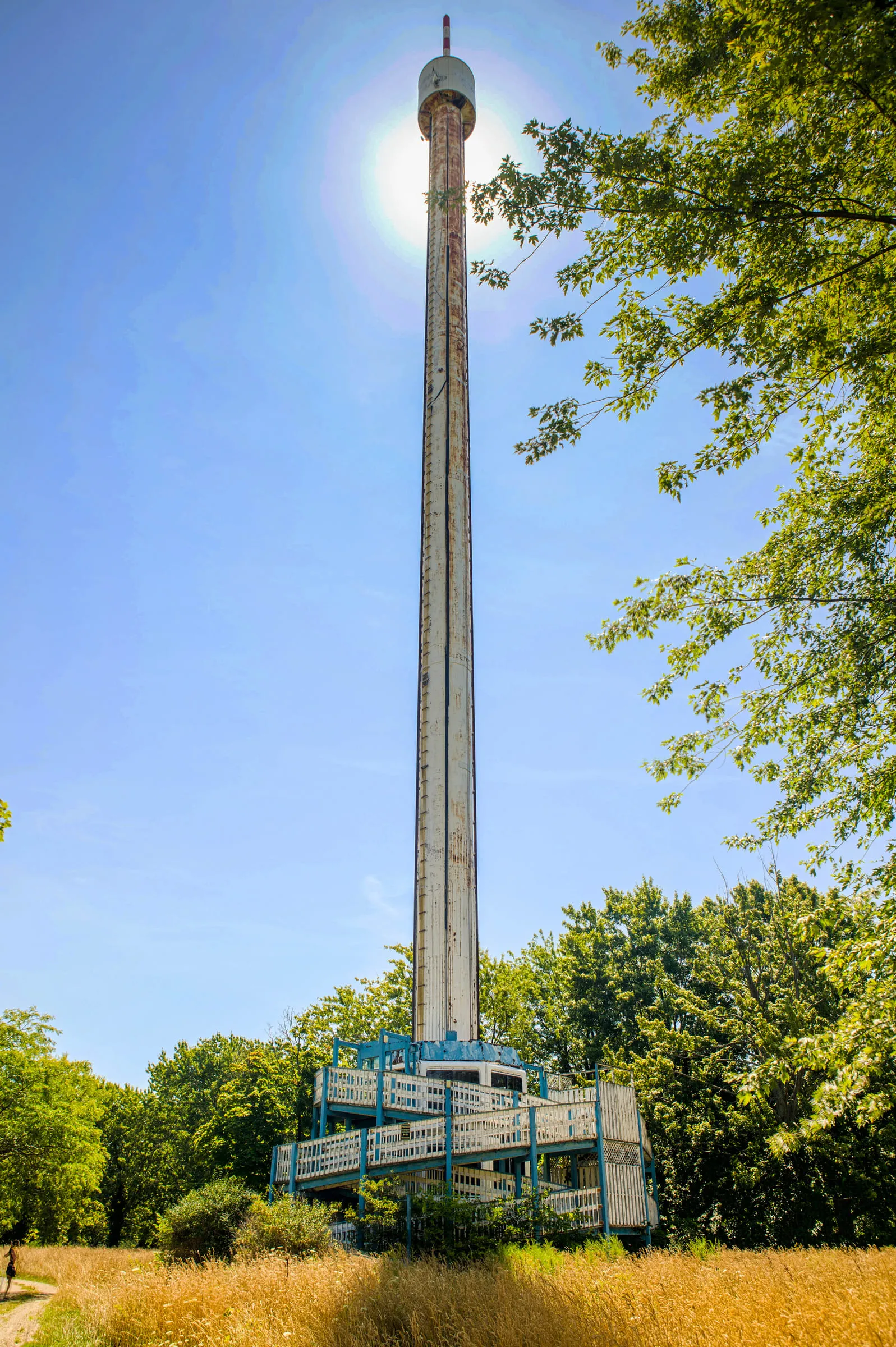 A tall disused sky tower ride rising above the treeline against a bright sky