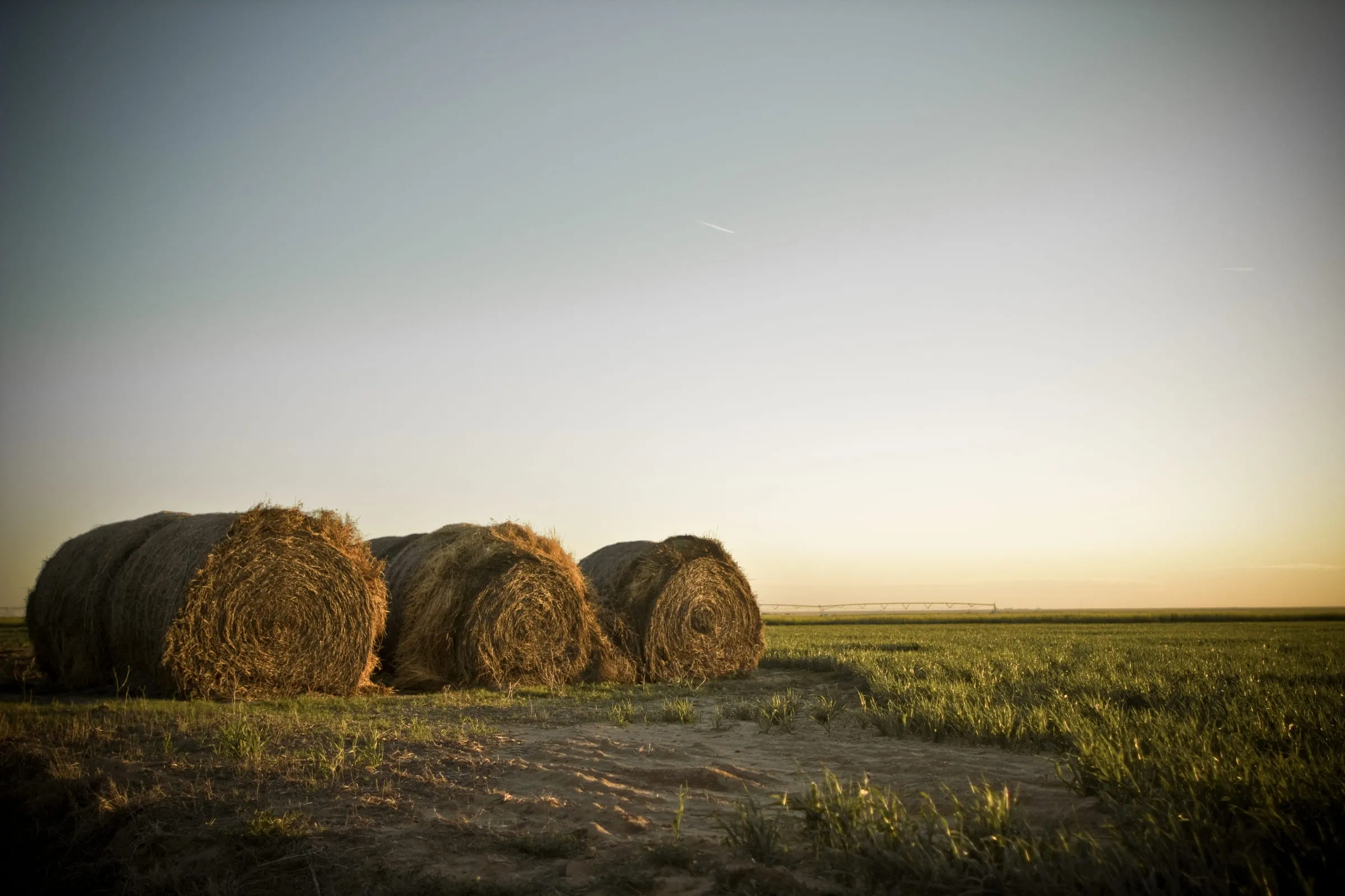 Three round hay bales sitting in a field at sunset, the sky washed gold to the horizon