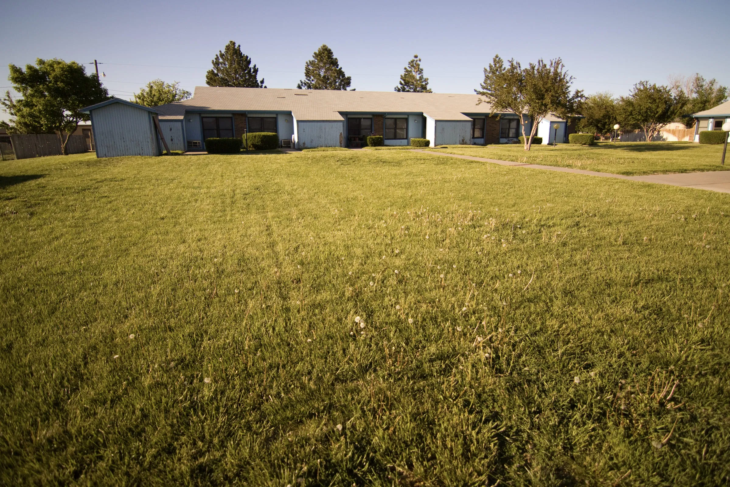 A row of low single-storey houses across a wide mown lawn on a clear afternoon