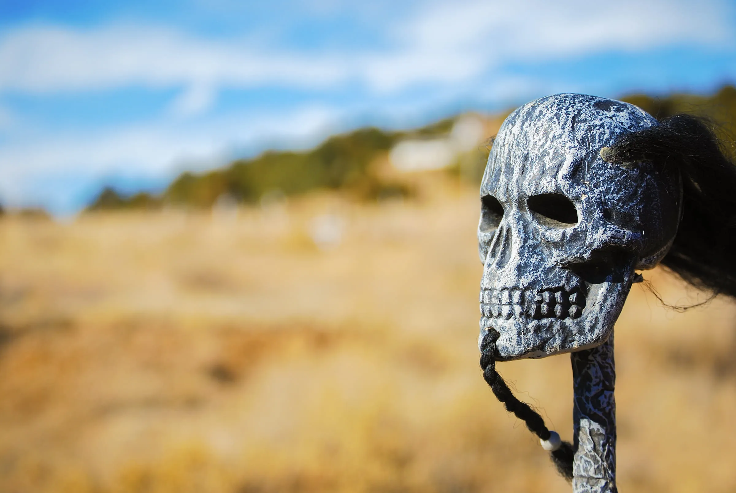 A carved stone skull with braided black hair mounted on a staff, held up against dry grassland and blue sky