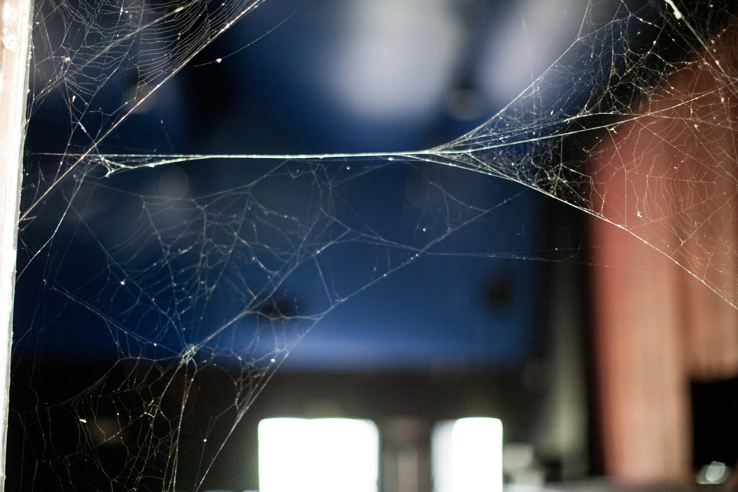 A spider web strung across a dark window frame, lit from behind